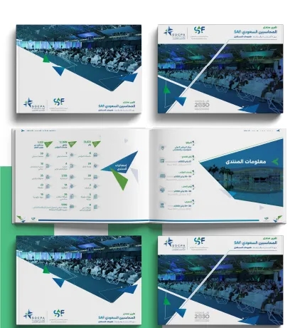 Saudi Organization for Chartered and Professional Accountants
